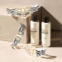 Zadig Eau de Parfum 50 spray